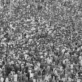 BLM, Black Lives Matter 